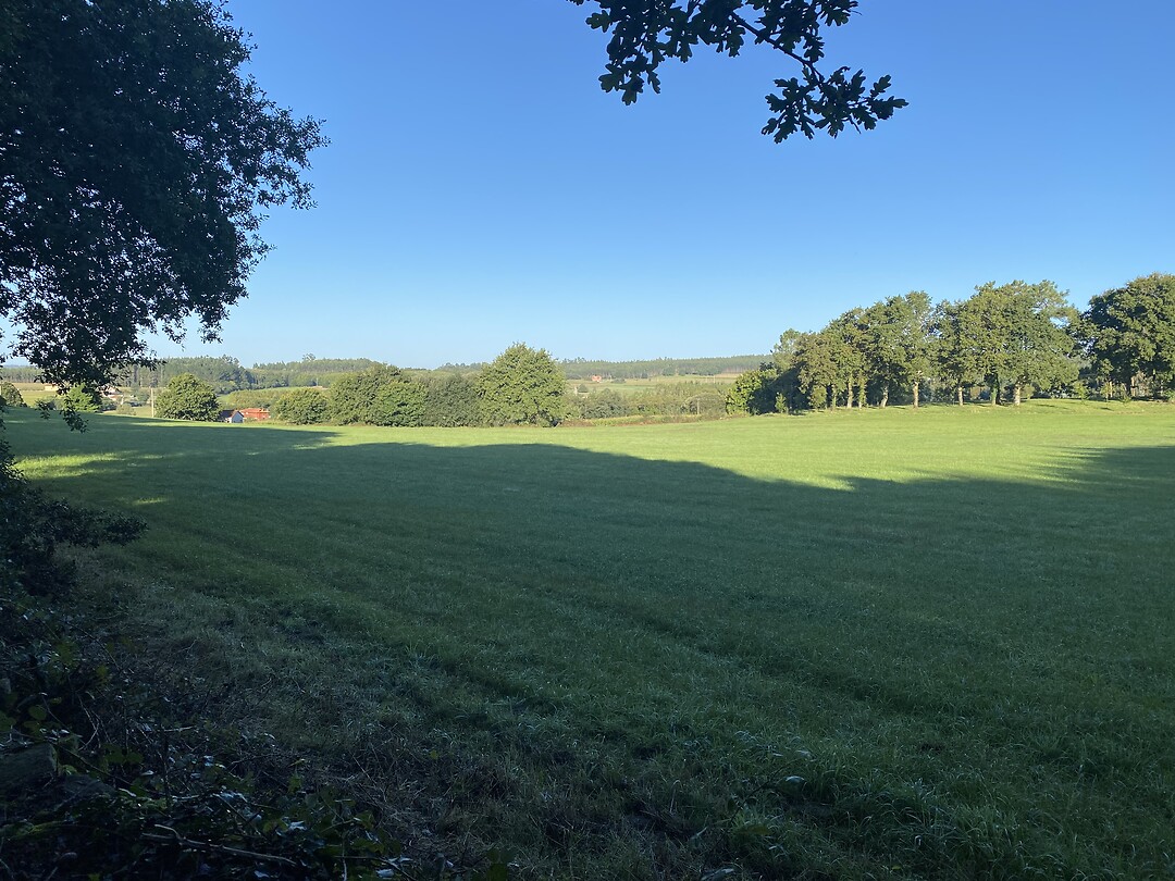 Uitzicht