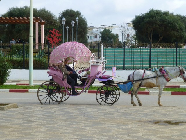 P1060140