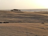 Strand bij essaouira