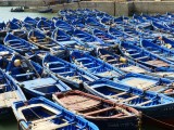 De vissershaven van essaouira