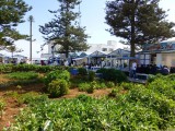 Vis restaurantjes