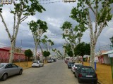 De Feria de Sevilla