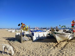P1090433