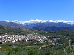P1100503