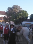 Feesten in Golega