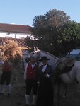 Feesten in Golega