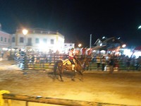 Feesten in Golega