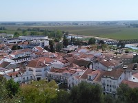 Coruche