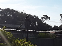20191031_073751
