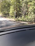 IMG-20191104-WA0005