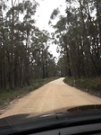 IMG-20191104-WA0004