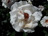 20191105_003554