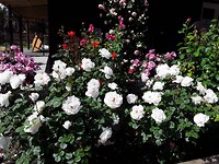 20191105_003545