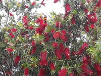 20191105_052906