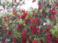 20191105_052902