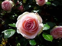 20191105_011509