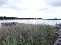 20191105_235536