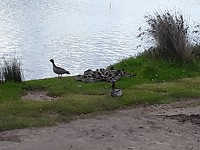 20191105_235056