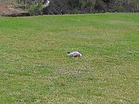 20191106_001515