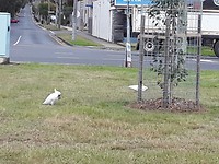 20191105_235333