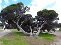 20191106_000653