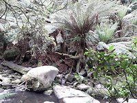In de buurt van de waterval