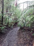 20191108_002433