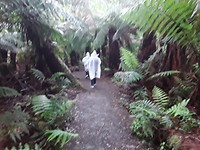 20191108_003320
