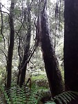 20191108_002801