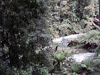 Oerbos