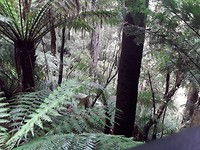 20191108_005206