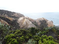 Bay of Islands