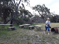 Wandelen door het bos bij onze cabin in Coonawarra