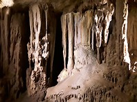 De grotten van Nationaal park Naracoorte