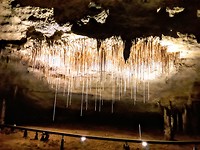 De grotten van Nationaal park Naracoorte