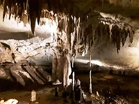 De grotten van Nationaal park Naracoorte