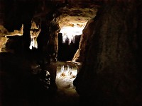De grotten van Nationaal park Naracoorte