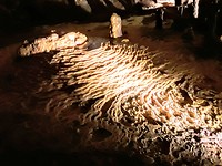 De grotten van Nationaal park Naracoorte