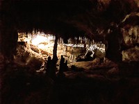 De grotten van Nationaal park Naracoorte