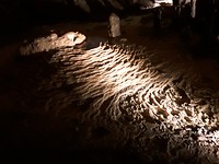 De grotten van Nationaal park Naracoorte