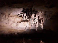 De grotten van Nationaal park Naracoorte