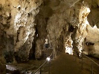 De grotten van Nationaal park Naracoorte