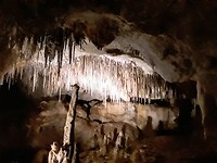 De grotten van Nationaal park Naracoorte