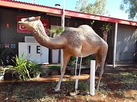 Eridunda