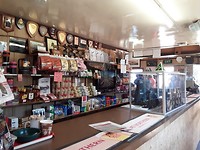 Curtin Springs