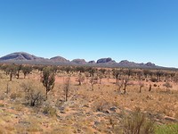 Kata Tjuta