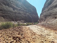 Kata Tjuta Walpa Gorge.
