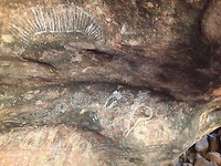 Fietstocht rond Ayers Rock ,  Grot tekening