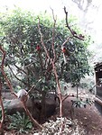 IMG-20191123-WA0025