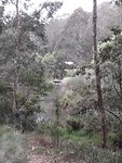IMG-20191123-WA0003